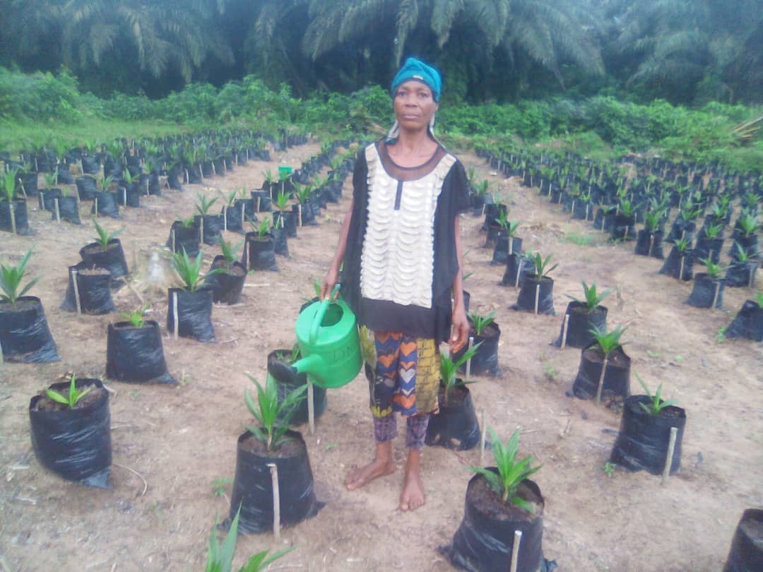 Women of the Lingofe Project